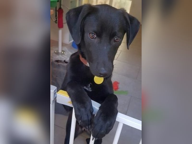 Eroica - TOP-Youngster: wissbegierig, lernwillig, jung