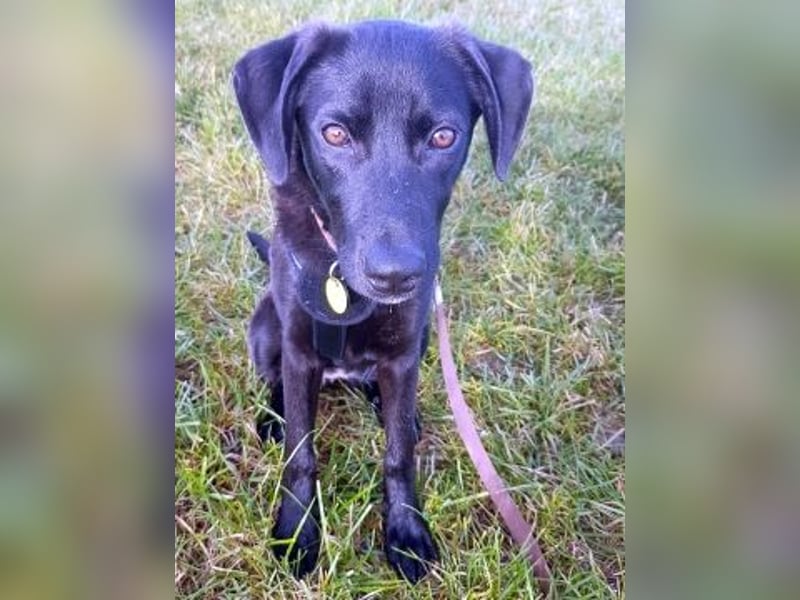 Eroica - TOP-Youngster: wissbegierig, lernwillig, jung