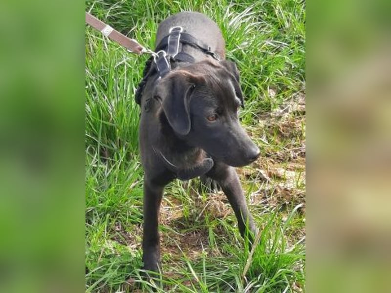 Eroica - TOP-Youngster: wissbegierig, lernwillig, jung