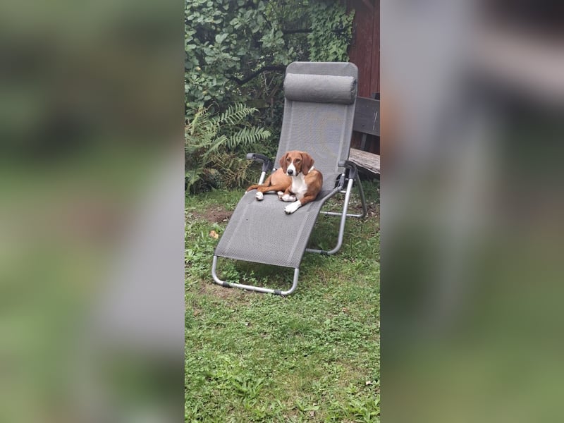 VIKTOR verliert sein Zuhause