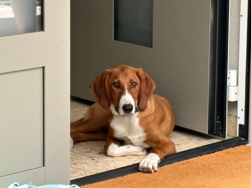 VIKTOR verliert sein Zuhause