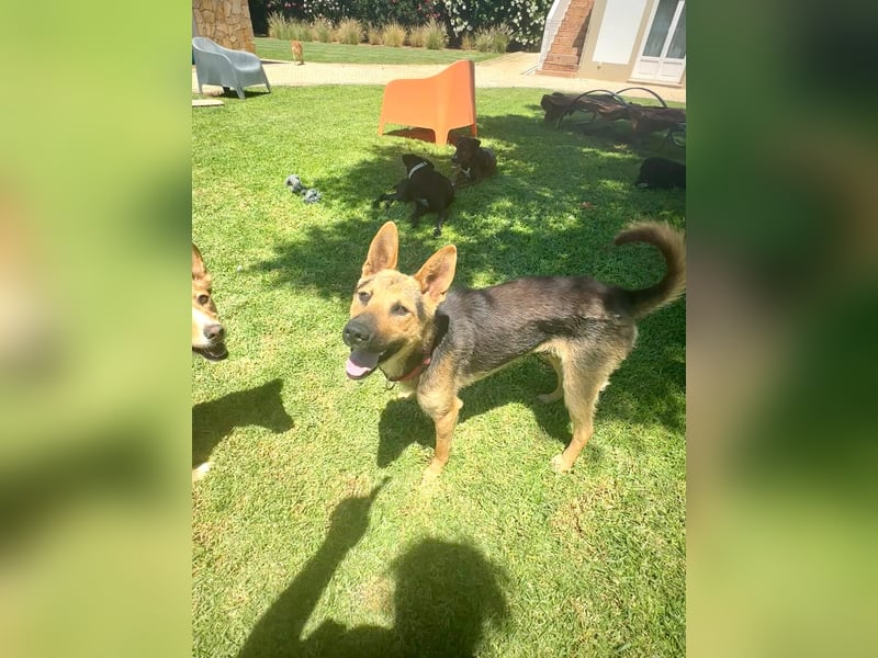 AVO wünscht sich ein Traumkörbchen AVO wünscht sich ein Traumkörbchen