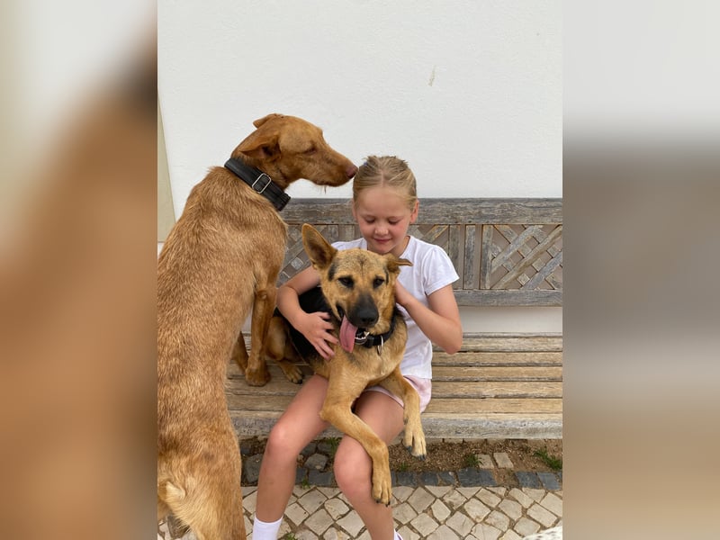 AVO wünscht sich ein Traumkörbchen AVO wünscht sich ein Traumkörbchen
