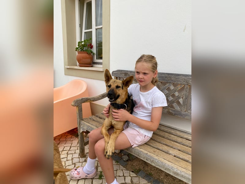 AVO wünscht sich ein Traumkörbchen AVO wünscht sich ein Traumkörbchen