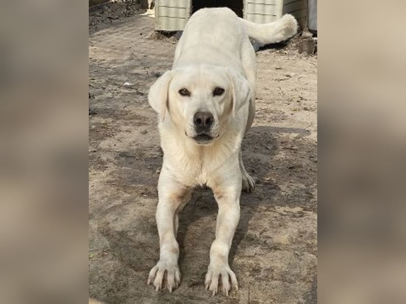 Schüchterner Emir sucht sein Glück