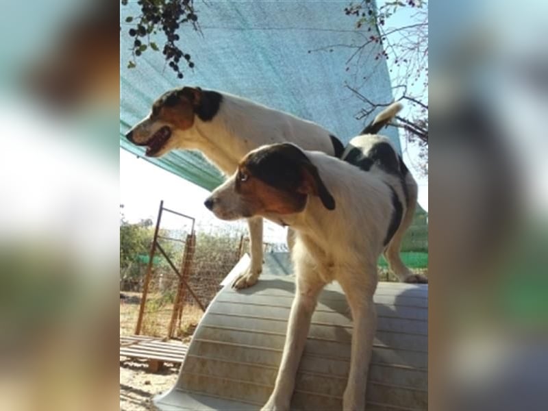 Fidel-fit, aufgeschlossen, lernwillig