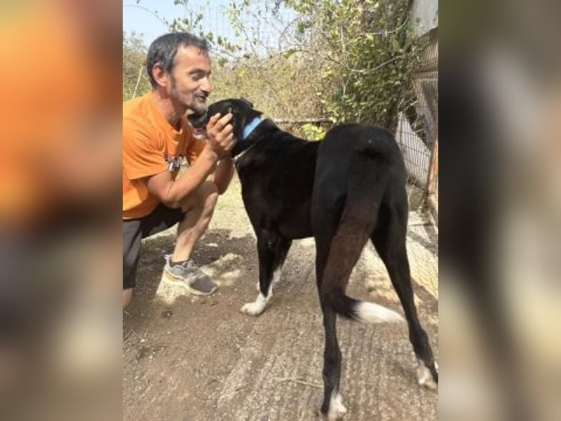 Sanfte Remy - liebt die Menschen