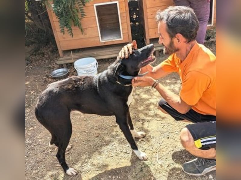 Sanfte Remy - liebt die Menschen