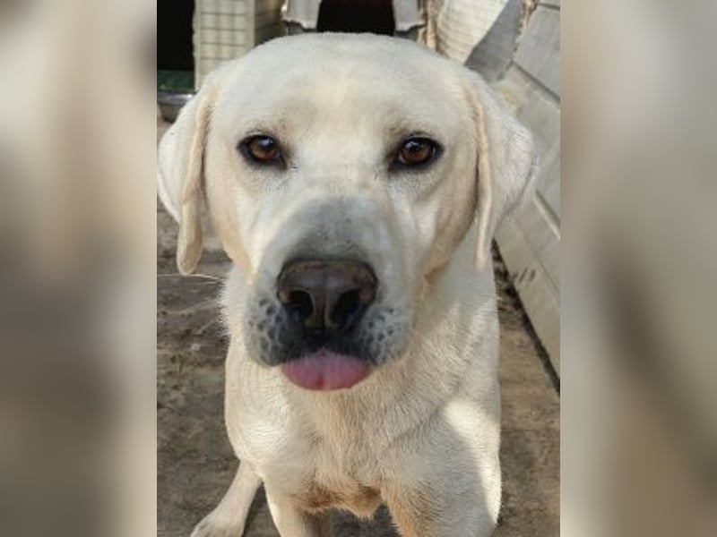 Schüchterner Emir sucht sein Glück