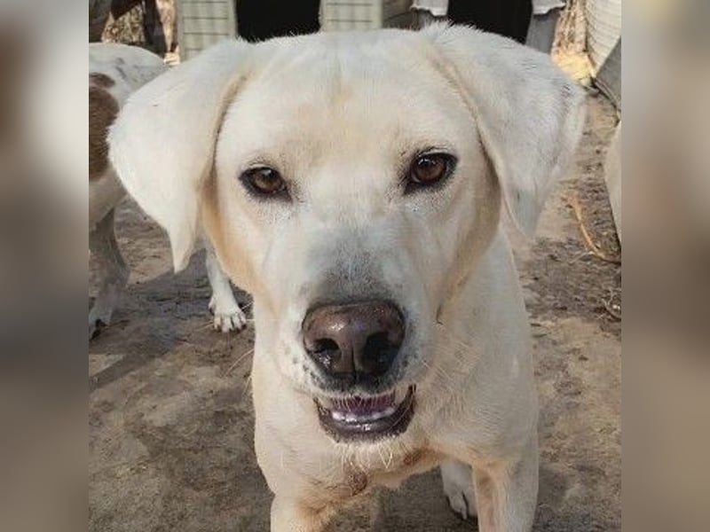 Schüchterner Emir sucht sein Glück