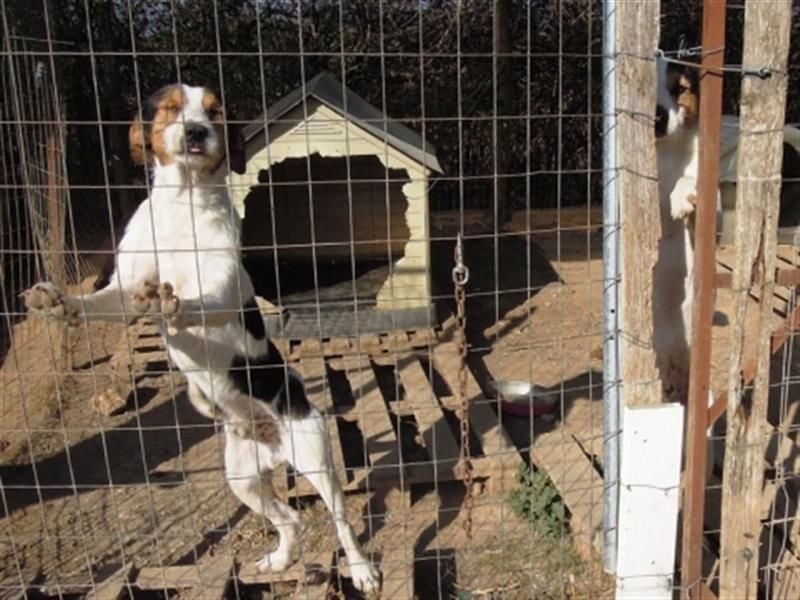 Fidel-fit, aufgeschlossen, lernwillig