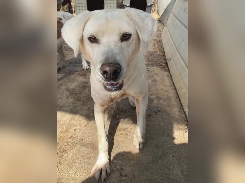 Schüchterner Emir sucht sein Glück