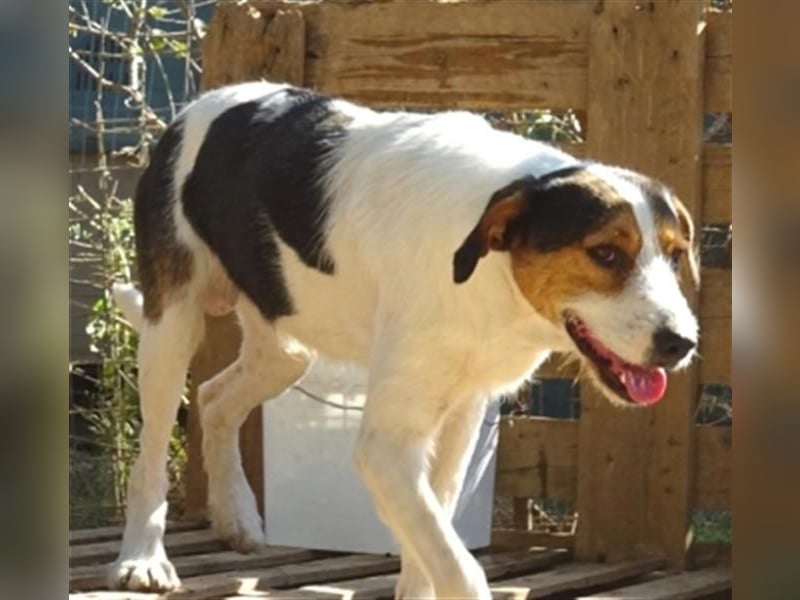 Fidel-fit, aufgeschlossen, lernwillig