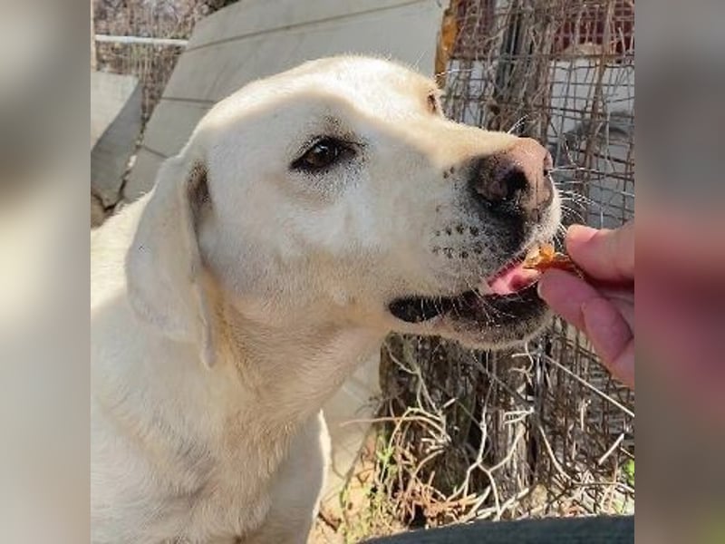 Schüchterner Emir sucht sein Glück