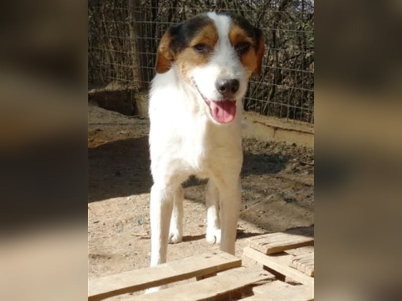 Fidel-fit, aufgeschlossen, lernwillig