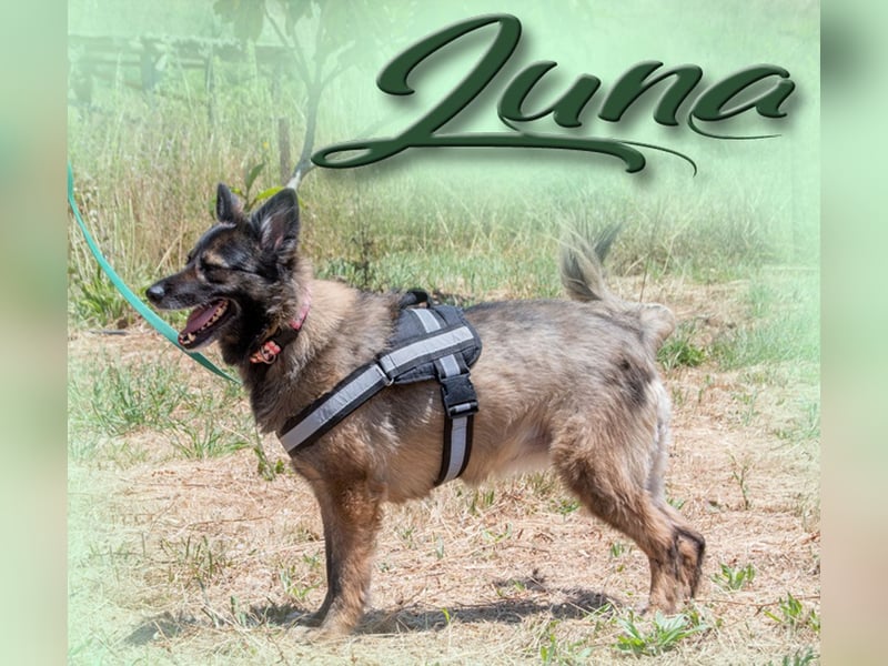 Luna – eine temperamentvolle Dame Luna – eine temperamentvolle Dame