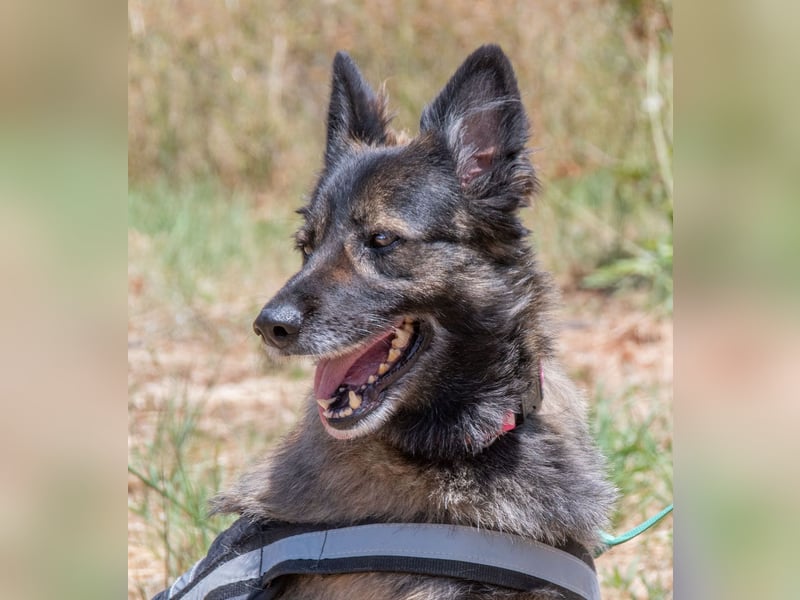 Luna – eine temperamentvolle Dame Luna – eine temperamentvolle Dame