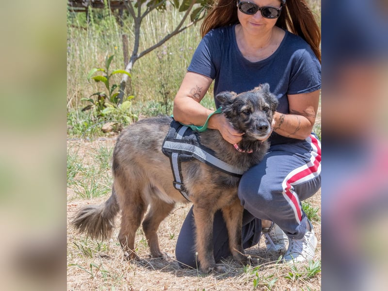 Luna – eine temperamentvolle Dame Luna – eine temperamentvolle Dame