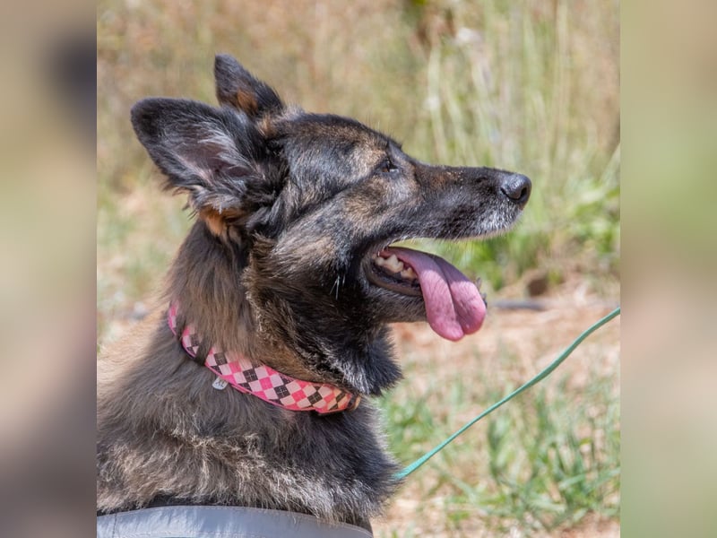 Luna – eine temperamentvolle Dame Luna – eine temperamentvolle Dame
