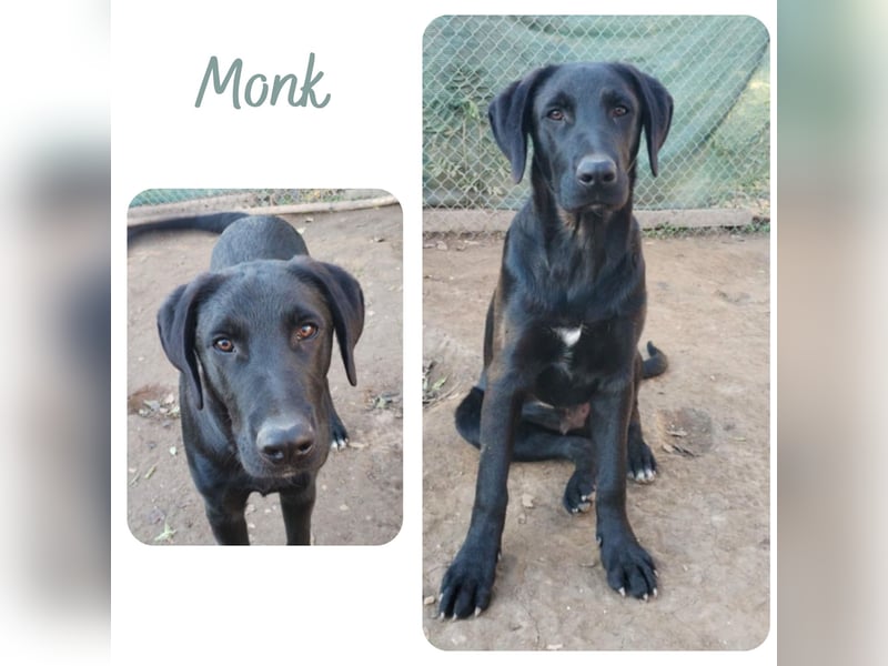 Monk