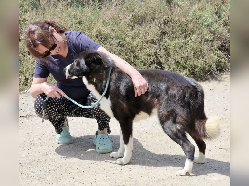 Samy - kinderfreundlich, neugierig und lernfreudig Samy - kinderfreundlich, neugierig und lernfreudig