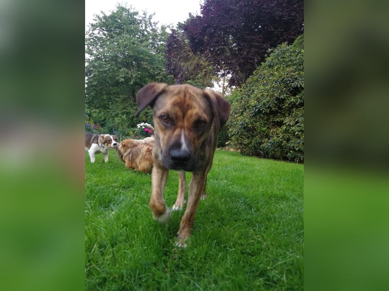 Lee; zauberhafte, unsichere Seele auf der Suche nach Geborgenheit!