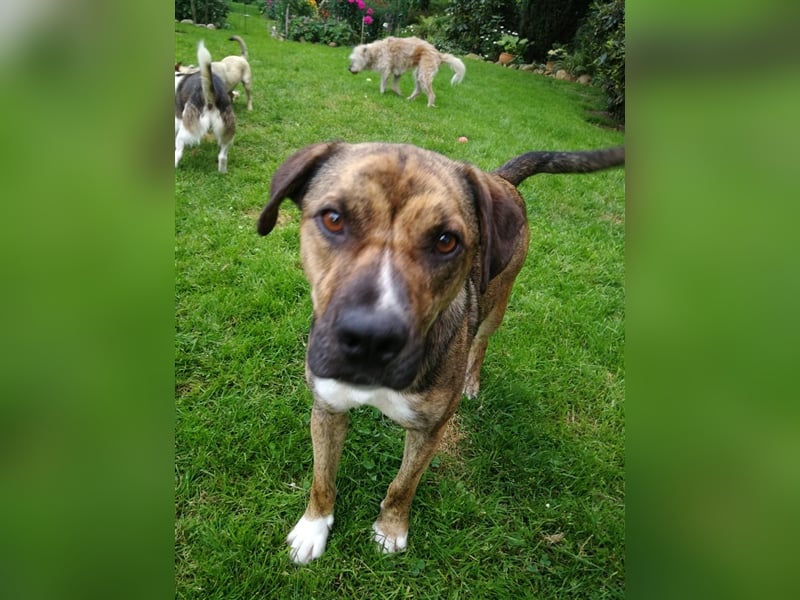 Lee; zauberhafte, unsichere Seele auf der Suche nach Geborgenheit!