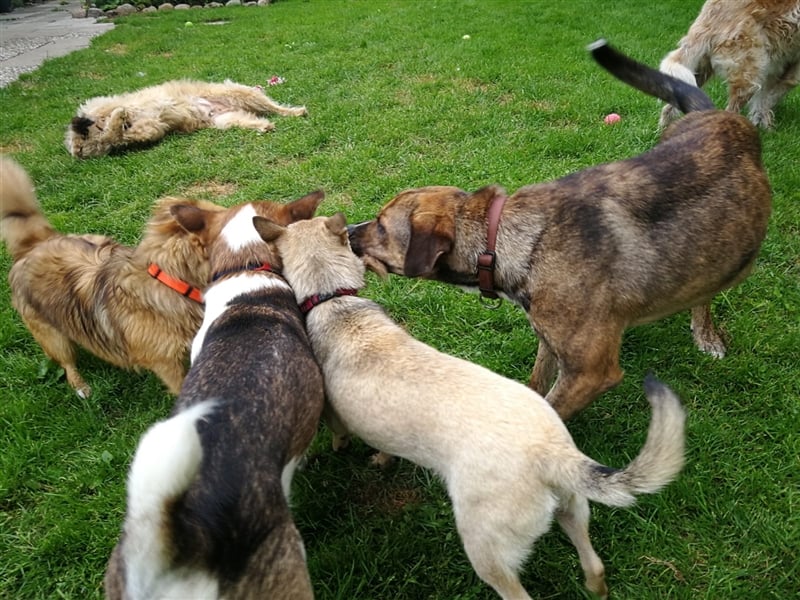 Lee; zauberhafte, unsichere Seele auf der Suche nach Geborgenheit!