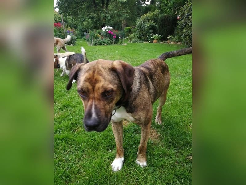 Lee; zauberhafte, unsichere Seele auf der Suche nach Geborgenheit!