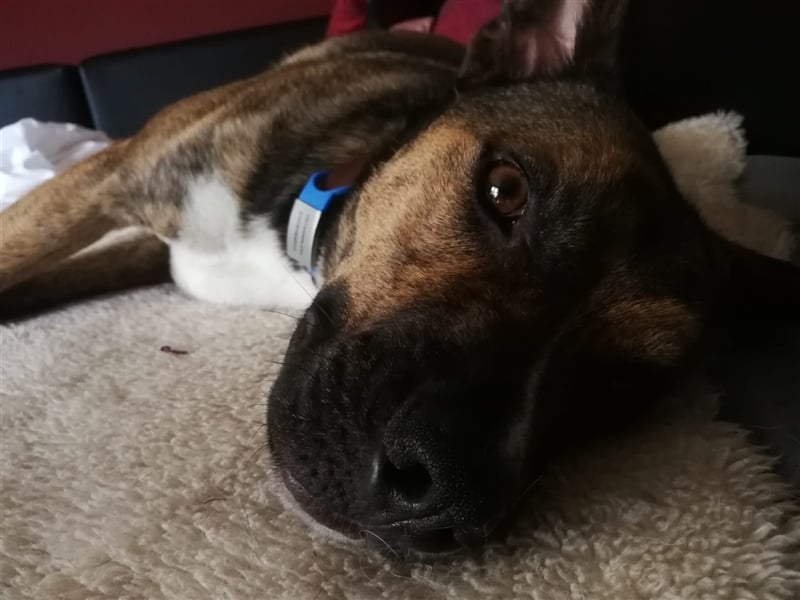 Lee; zauberhafte, unsichere Seele auf der Suche nach Geborgenheit!