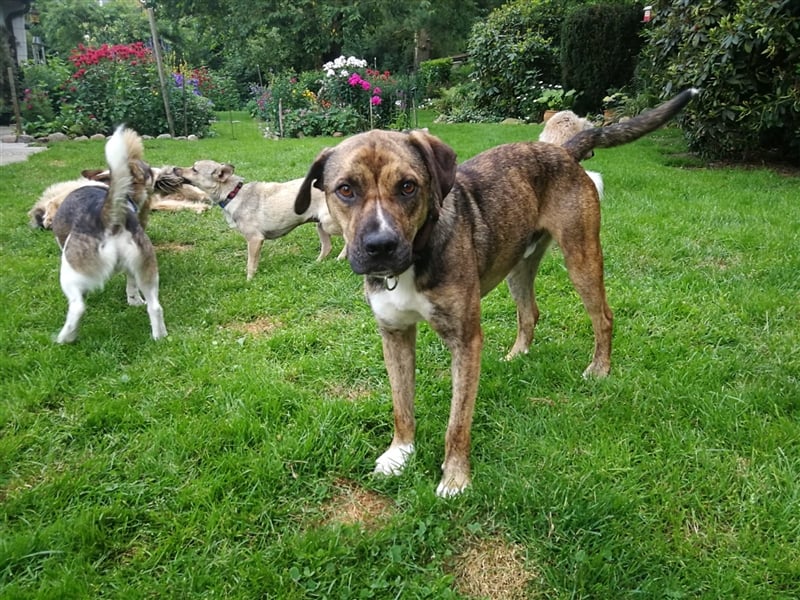 Lee; zauberhafte, unsichere Seele auf der Suche nach Geborgenheit!