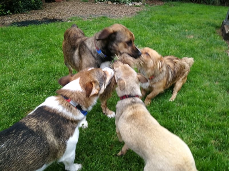 Lee; zauberhafte, unsichere Seele auf der Suche nach Geborgenheit!