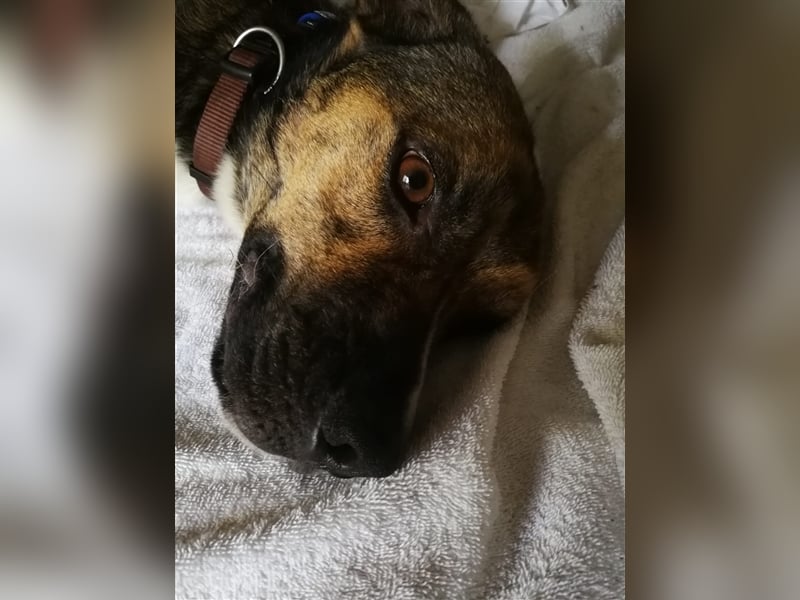 Lee; zauberhafte, unsichere Seele auf der Suche nach Geborgenheit!