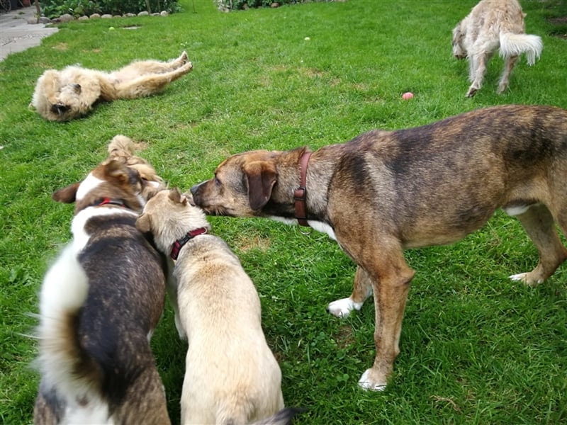 Lee; zauberhafte, unsichere Seele auf der Suche nach Geborgenheit!