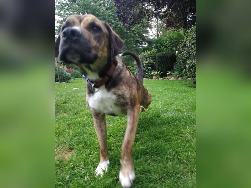 Lee; zauberhafte, unsichere Seele auf der Suche nach Geborgenheit!