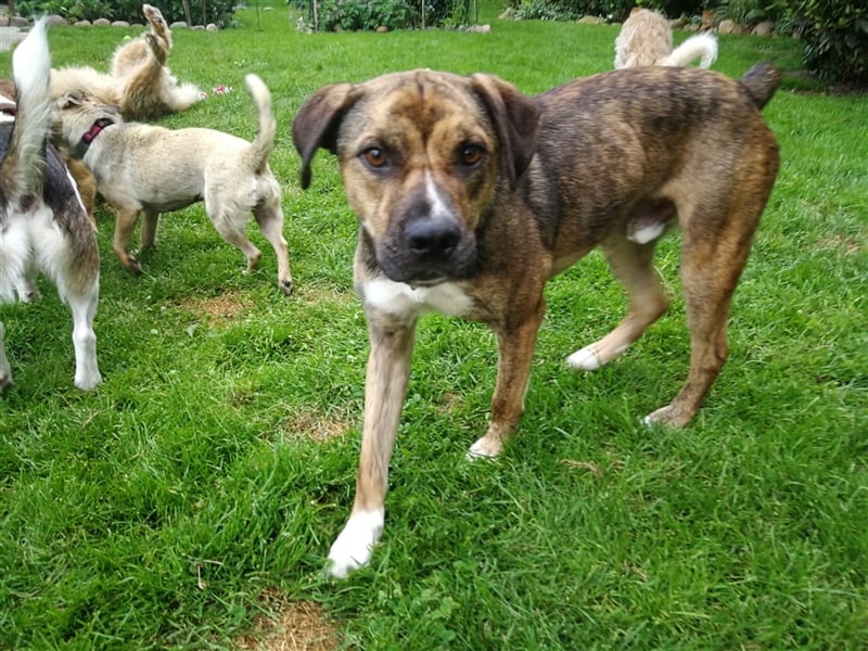 Lee; zauberhafte, unsichere Seele auf der Suche nach Geborgenheit!