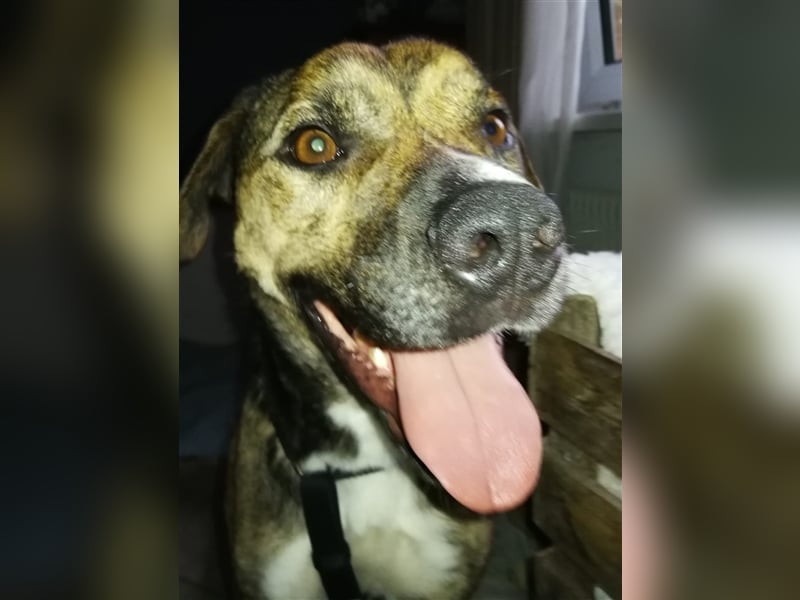 Lee; zauberhafte, unsichere Seele auf der Suche nach Geborgenheit!