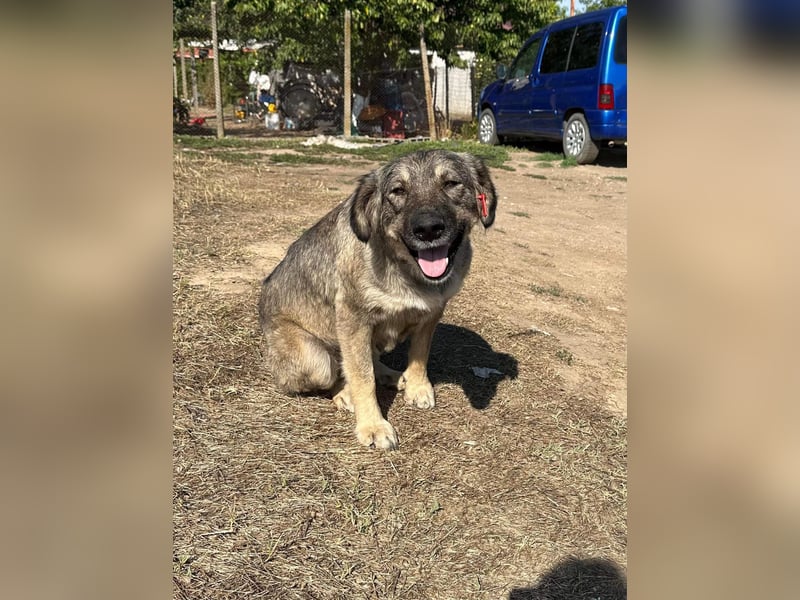 Alura – sanfte Kämpferin auf der Suche nach ihrem Glück