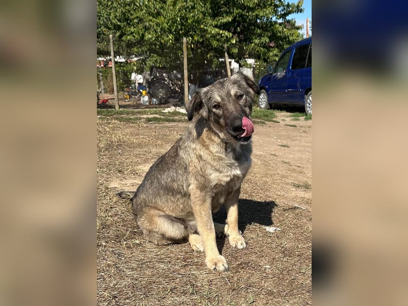 Alura – sanfte Kämpferin auf der Suche nach ihrem Glück