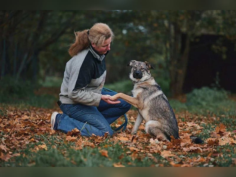 Sanfte Santa sucht liebevolles Zuhause Sanfte Santa sucht liebevolles Zuhause