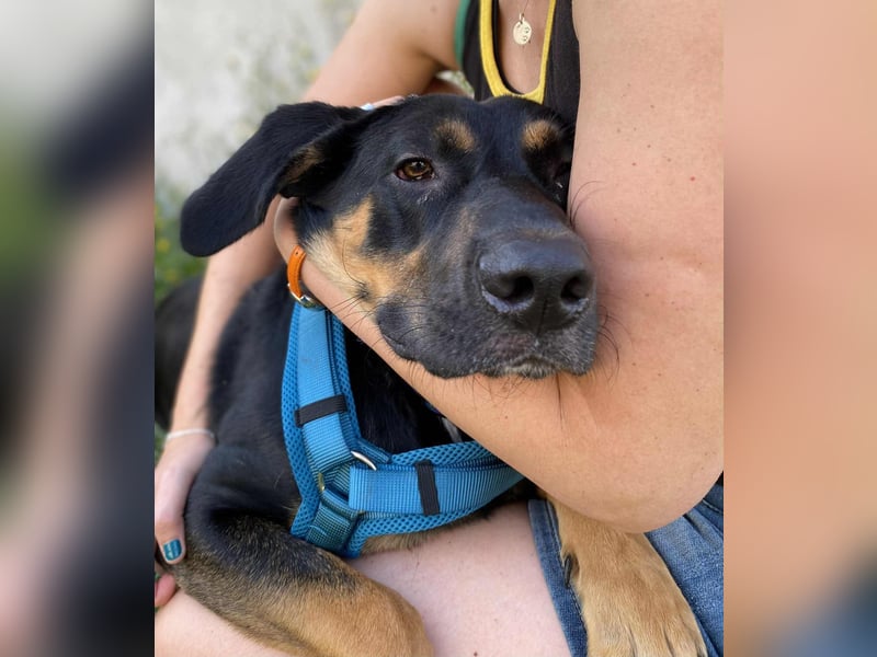 Hübscher Nadir sucht liebe Familie