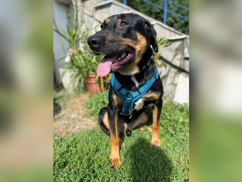 Hübscher Nadir sucht liebe Familie