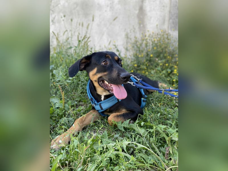 Hübscher Nadir sucht liebe Familie