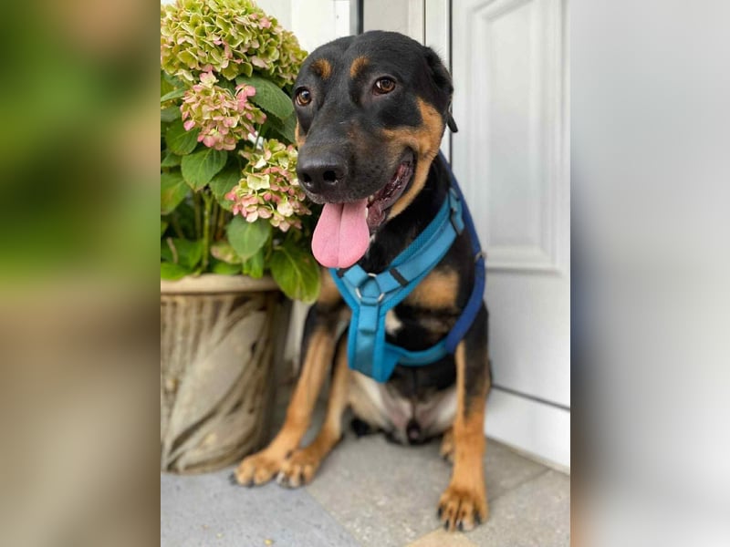 Hübscher Nadir sucht liebe Familie