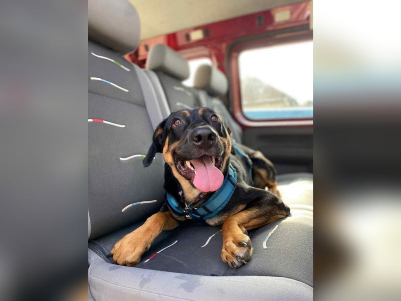 Hübscher Nadir sucht liebe Familie