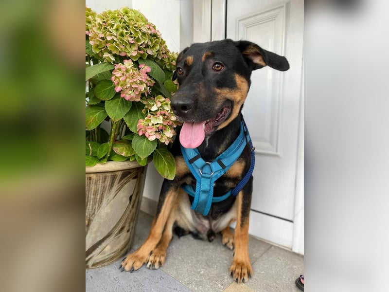 Hübscher Nadir sucht liebe Familie