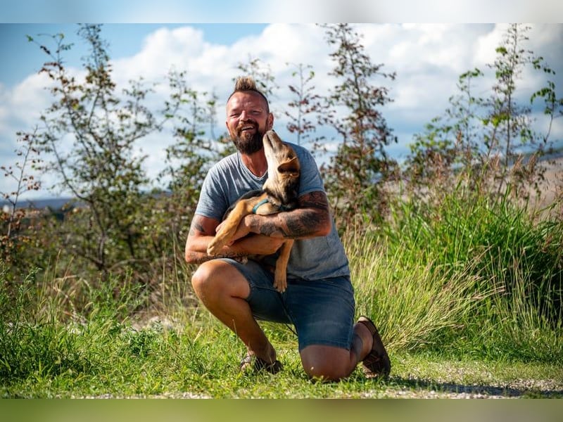 Arlo möchte euer Familienhund werden