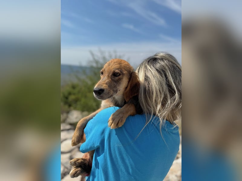 Aimi möchte Teil eurer Familie werden