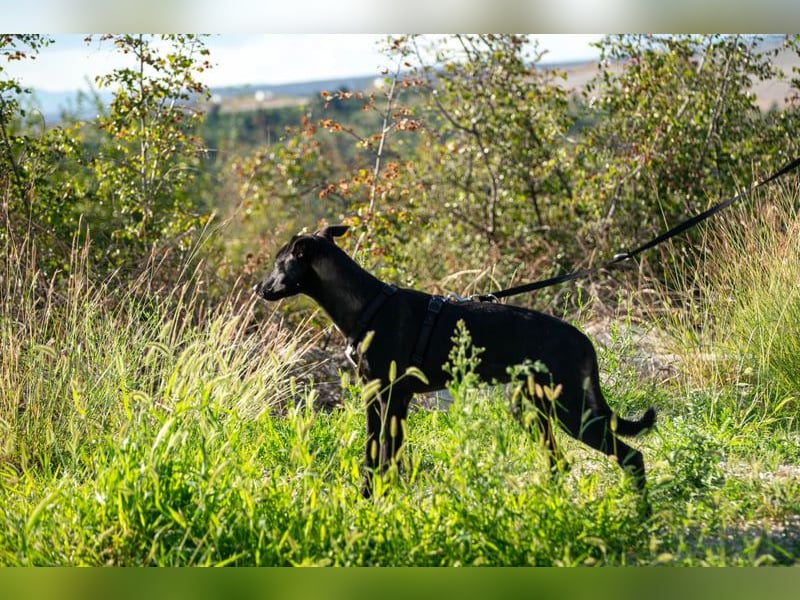 Trudi – eine Freundin fürs Leben