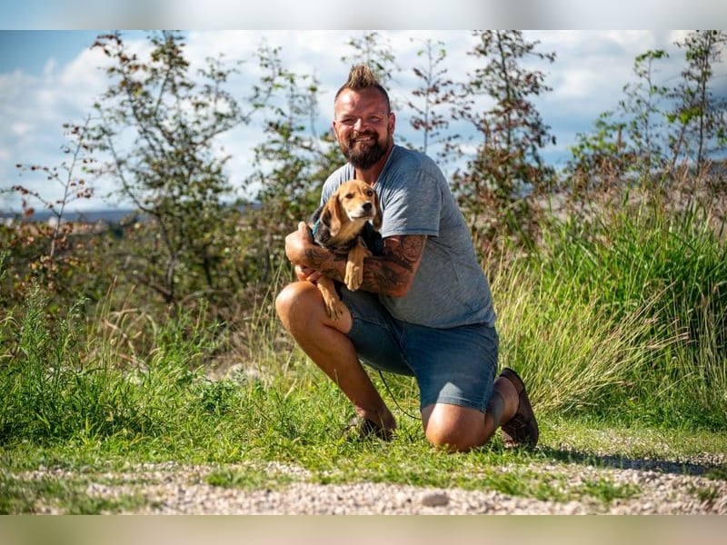 Arlo möchte euer Familienhund werden